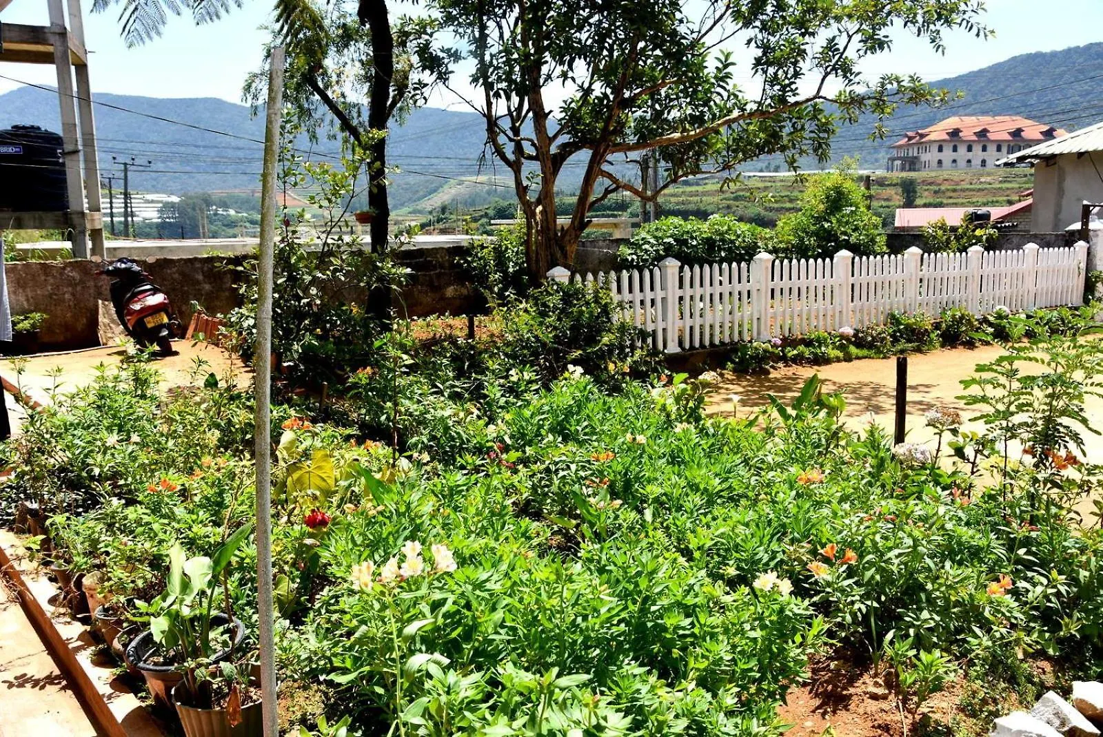 The Dew Drop View Hotel Nuwara Eliya Sri Lanka
